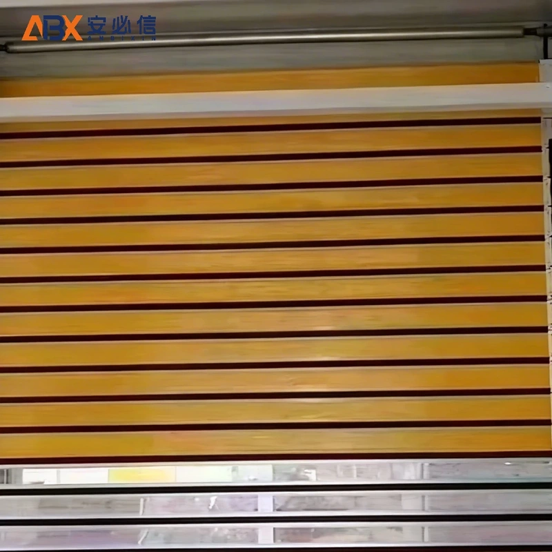 阿拉尔雷达高速门